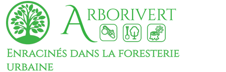 Boutique Arborivert
